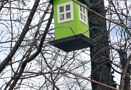 23-03-17 12-25-27 4906